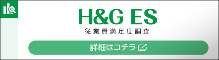 H&G ES